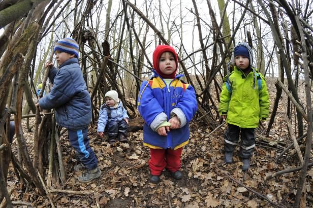 obrázek: Poté, co zákon objasnil status lesních školek, jejich počet roste