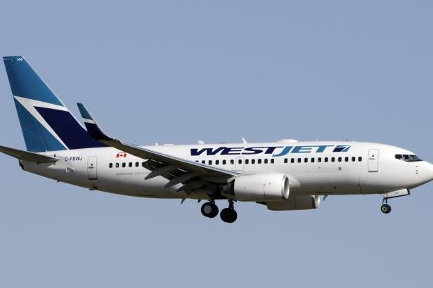 obrázek: Pracovník letiště usnul mezi zavazadly, probudil se až ve vzduchu