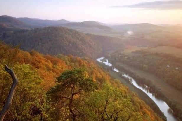 obrázek: Přece jen národní park? Kraj jedná o budoucnosti křivoklátských hvozdů