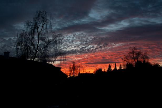 obrázek: Série rekordů pokračuje. Na jihu Čech naměřili přes 14 stupňů