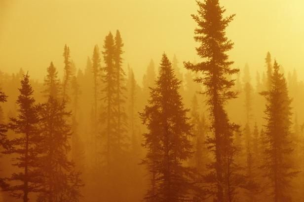 obrázek: Šest Čechů se ztratilo v Karpatech, jeden se zřítil do rokle