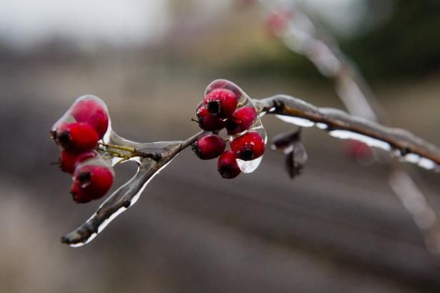 obrázek: Silvestr přinese do Čech sníh a ledovku, na Moravě přituhne