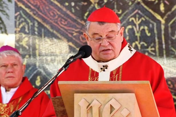 obrázek: Svátek v duchu uprchlické krize: Duka vyzval k soucitu, demonstranti k vystoupení z EU