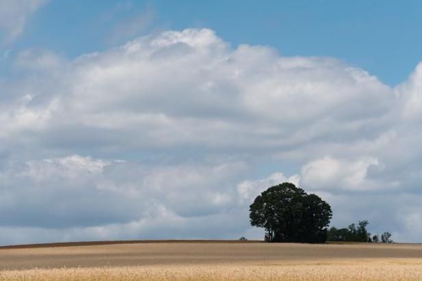 obrázek: Třicítky z Česka vyprovodí bouřky. Sílu už ukázaly na Zlínsku