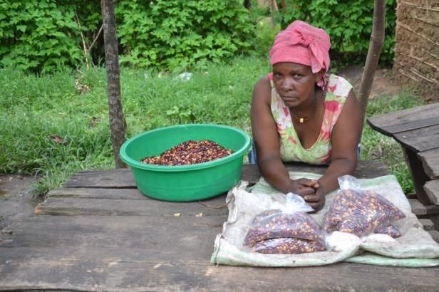 obrázek: \nUganda: Klenot Afriky\n