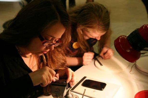 obrázek: V Národním muzeu můžete trávit volno dobrovolně