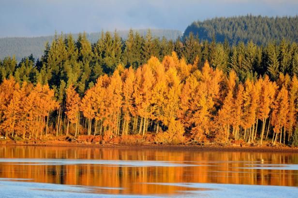 obrázek: V říjnu se teploměr zastaví na 15 stupních