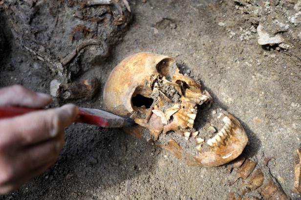 Vědci analyzovali DNA afrického předka díky 4500 let staré lebce