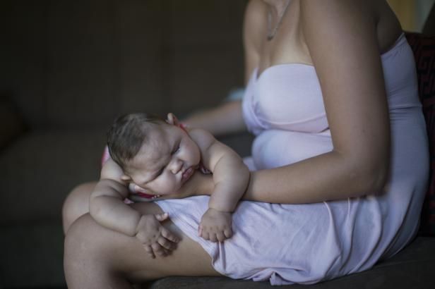 obrázek: Vědci mají obavy, aby virus zika nepřenášel i běžný komár