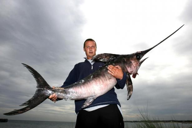 obrázek: Veterináři stahují z obchodů mečouna, obsahuje rtuť - tuna masa už se ale prodala