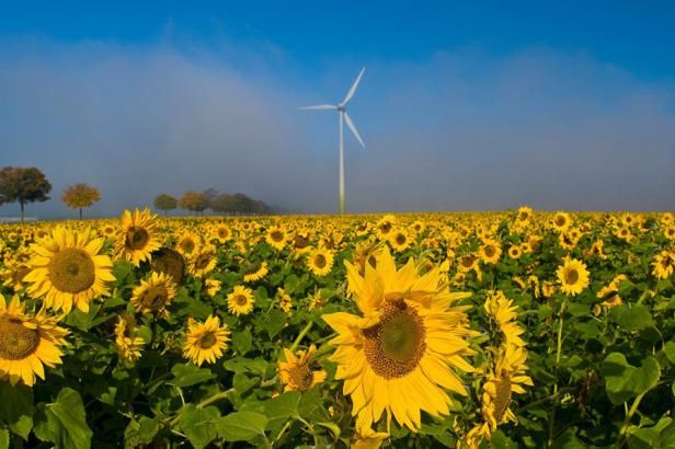 obrázek: Vláda řeší miliardy zeleným elektrárnám. Vitásková je stále proti