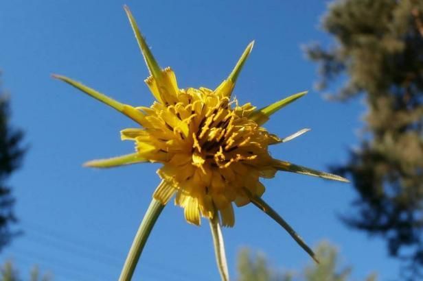 obrázek: Začátek prázdnin ve znamení slunce a příjemných teplot