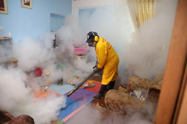 obrázek: Zika už je v Kanadě, roste počet případů obrny svalstva