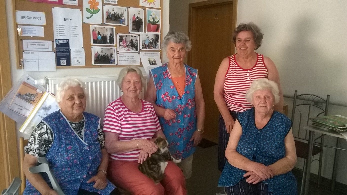 Plníme Vaše nevyslovená přání - mazlíček v DPS