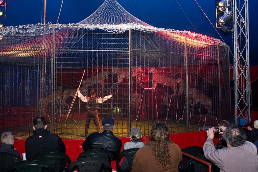 obrázek: Plzeň podpoří čtyři rezidenční projekty