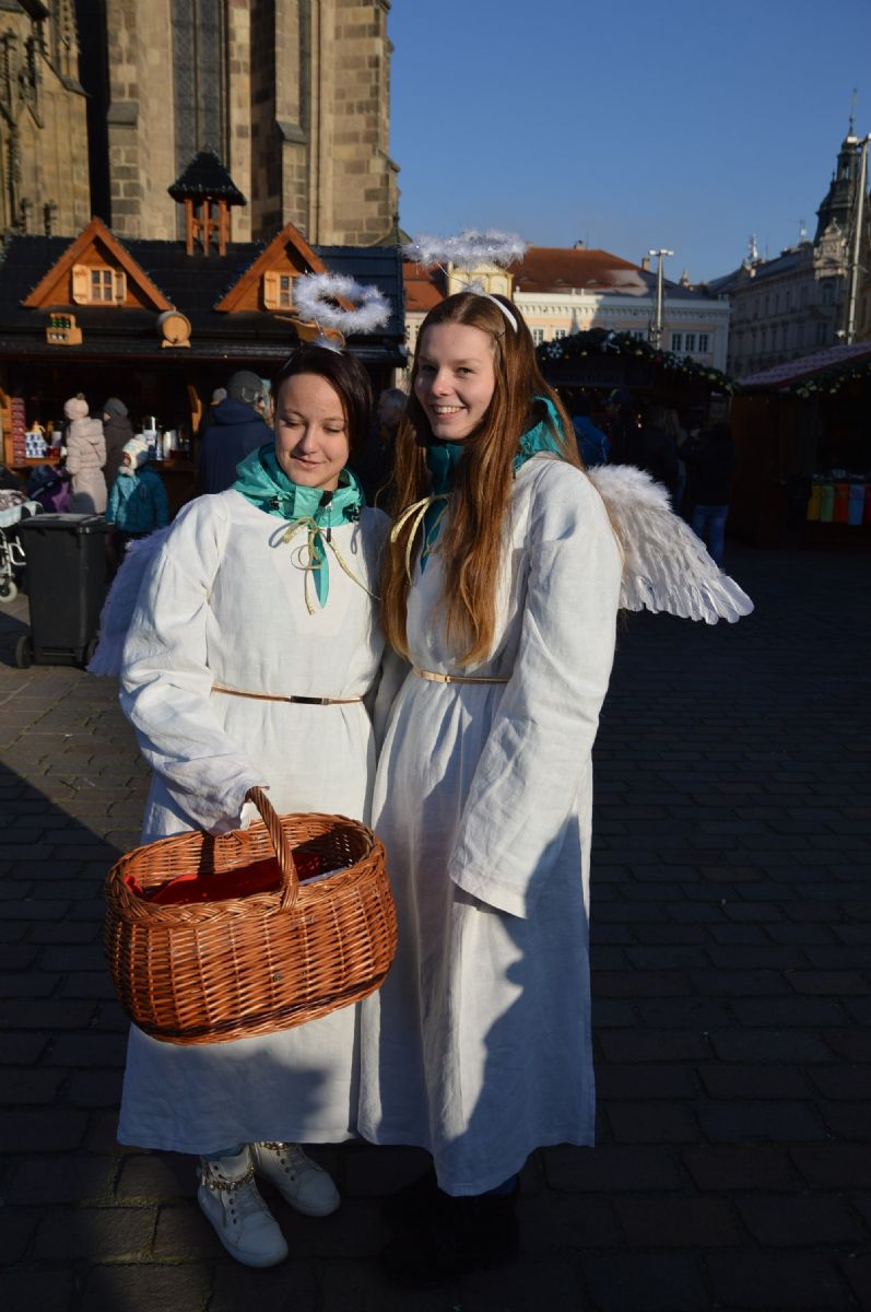 obrázek: V Plzni můžete potkat svého „Anděla Strážného“