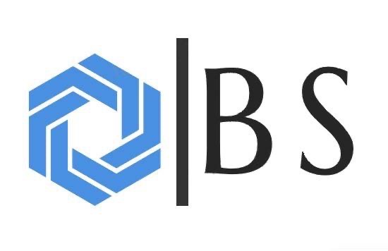 obrazek: logo BS Daně s.r.o 