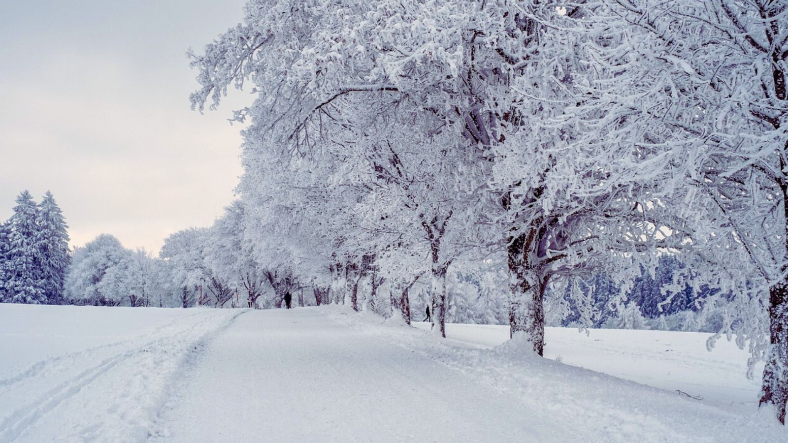Objevujte zimní přírodu: zábavné a nenáročné aktivity ve sněhu