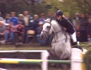 obrázek: Koňské soutěže ve S. Poříčí