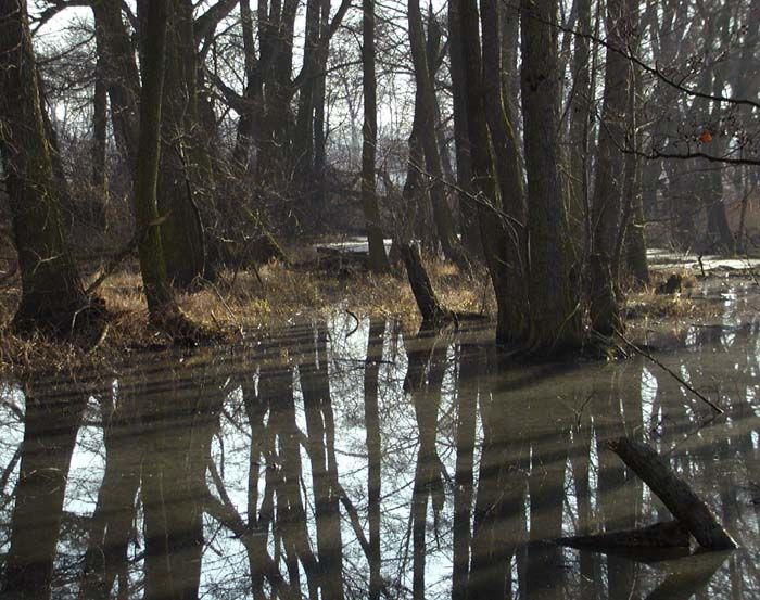 obrázek: Povodně v kraji údajně nehrozí