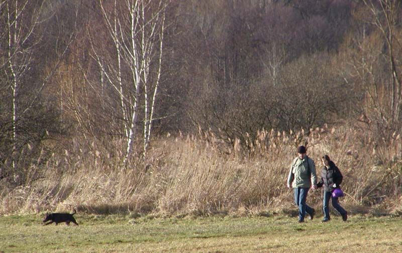 obrázek: Skauting v Plzni jenom kvete