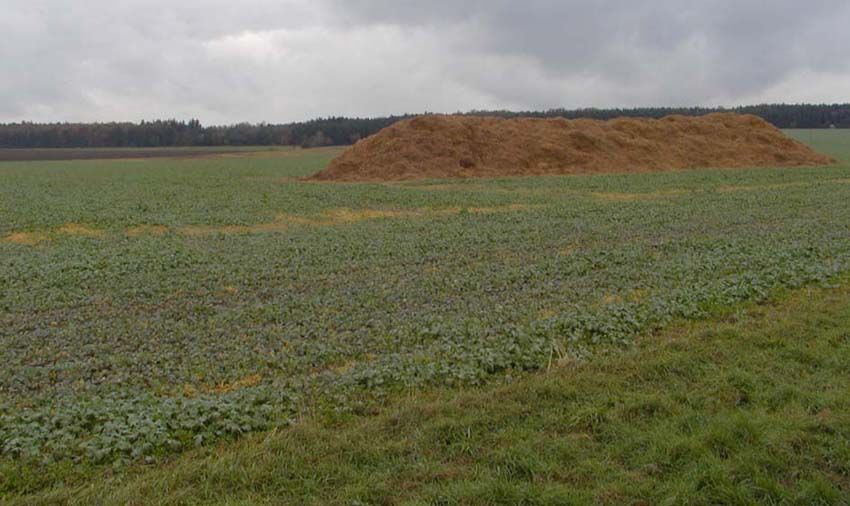 obrázek: PF prodává 8900 pozemků
