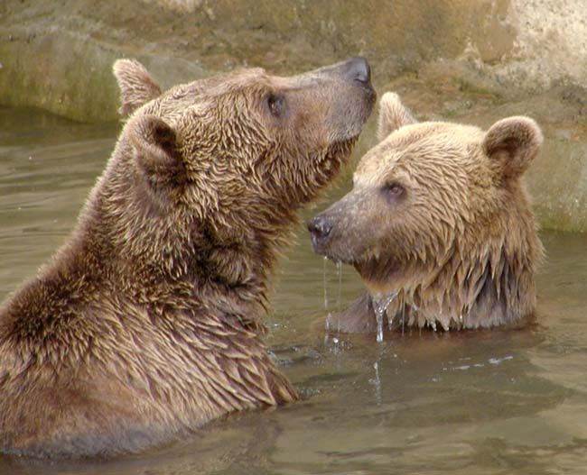 obrázek: Velikonoce v ZOO