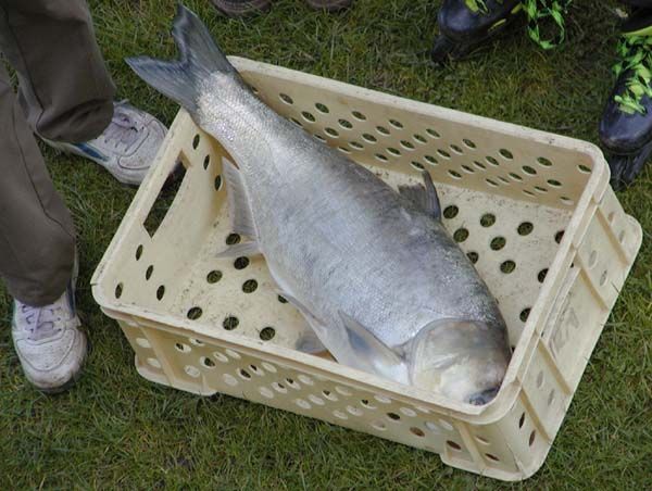 obrázek: Sportovní rybáři se těší na sezónu