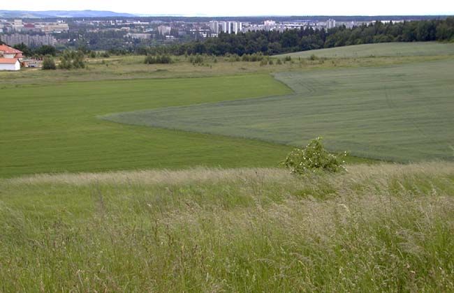 obrázek: Zájemci o výstavu domku těžko hledají pozemek