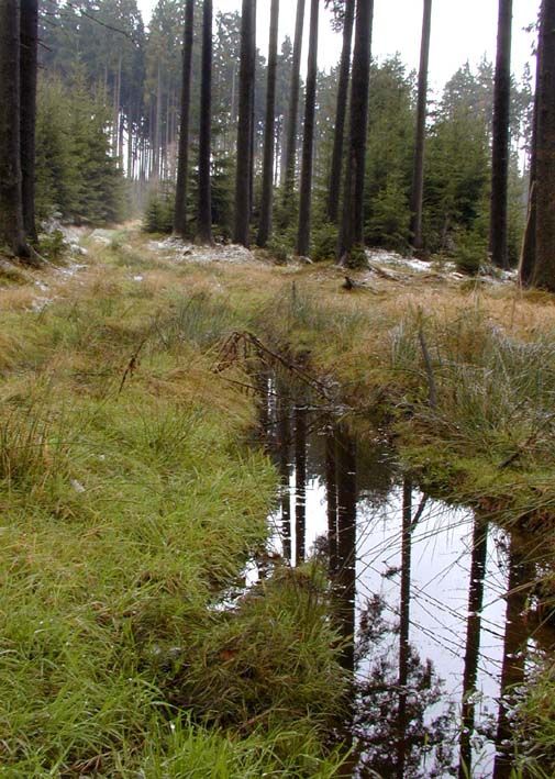 obrázek: Kraje připraví svůj zákon o NPŠ