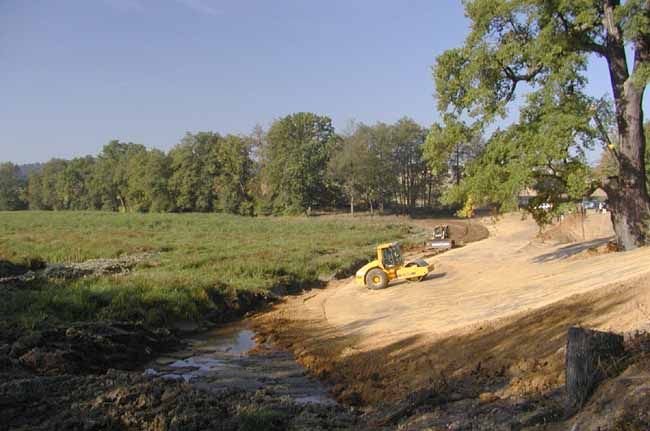 obrázek: V rybníku u Mladostic dnes uhynuly desítky ryb
