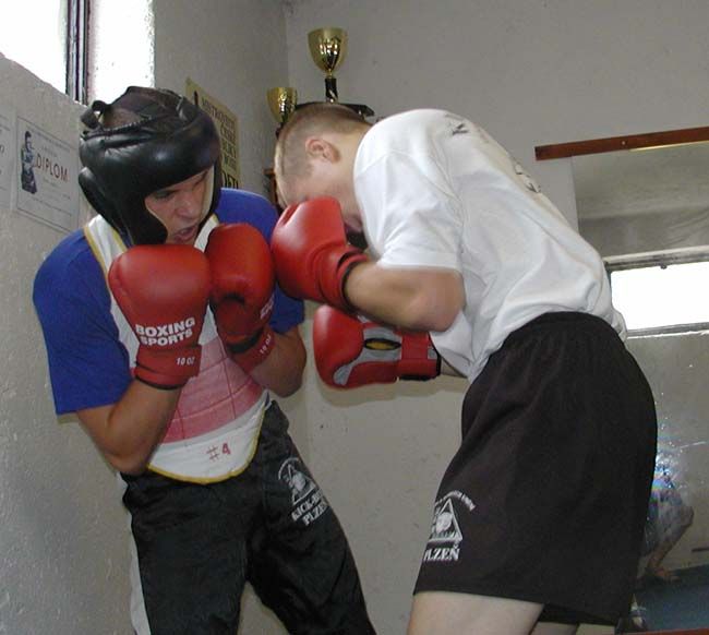 obrázek: Full-contaktisté bojovali O pohár města Plzně