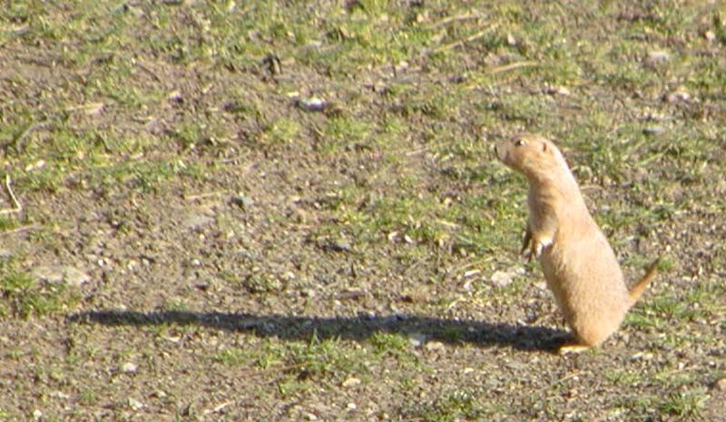 obrázek: Dětský den v dešti