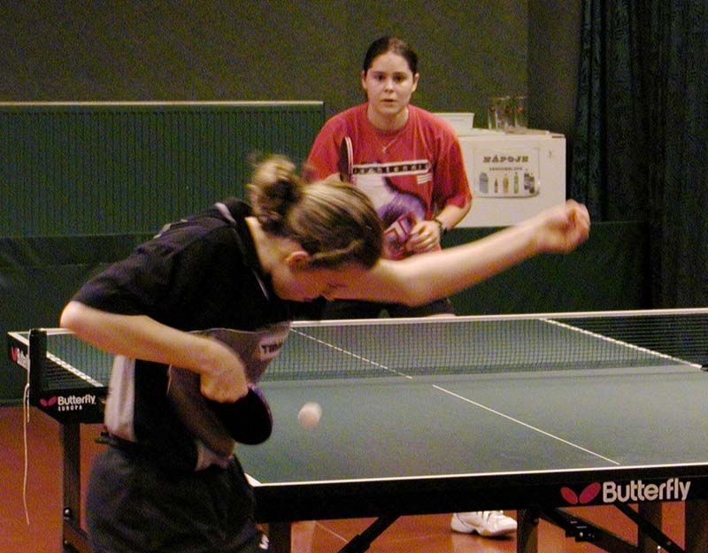 obrázek: Mistrovství rozhodovalo o nominacích