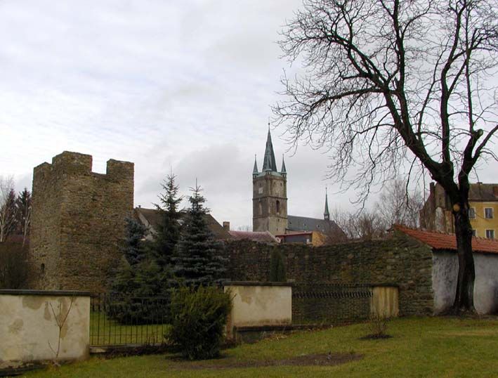 obrázek: Obce chtějí pomoc městských strážníků