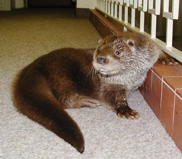 obrázek: Zoo Plzeň má unikátní 3D kino