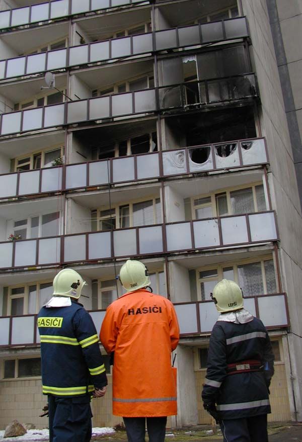 obrázek: Státní zástupci planě zalarmovali hasiče