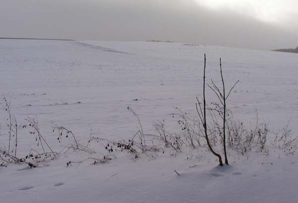 obrázek: Obce chtějí výrazně více z daní