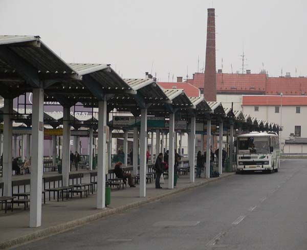 obrázek: Historický autobus jezdí ode dneška za památkami