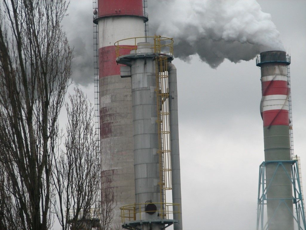 obrázek: Elektrárna Tisová spálí nejvíc biomasy v historii