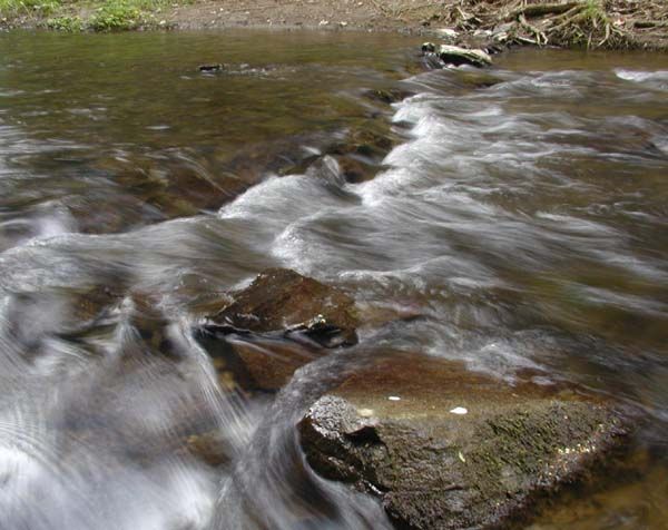 obrázek: V kraji ubývá voda, do Liblína ji vozí cisterny