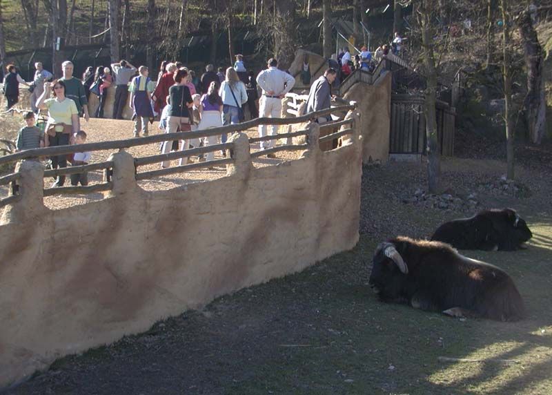 obrázek: V zoo se nečekaně narodilo dikobrazí mládě