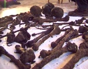 obrázek: Muž z Kokašic vykopal na zahradě lidské kosti