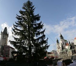 obrázek: V Plzeňském kraji se rozsvěcují vánoční stromy