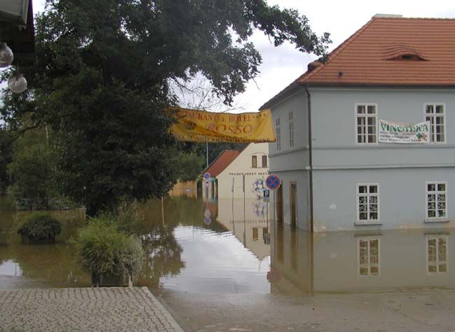 obrázek: Výstava se prodlužuje
