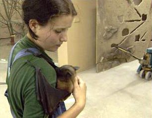 obrázek: Galerie v Žihobcích zahajuje výstavou krajek