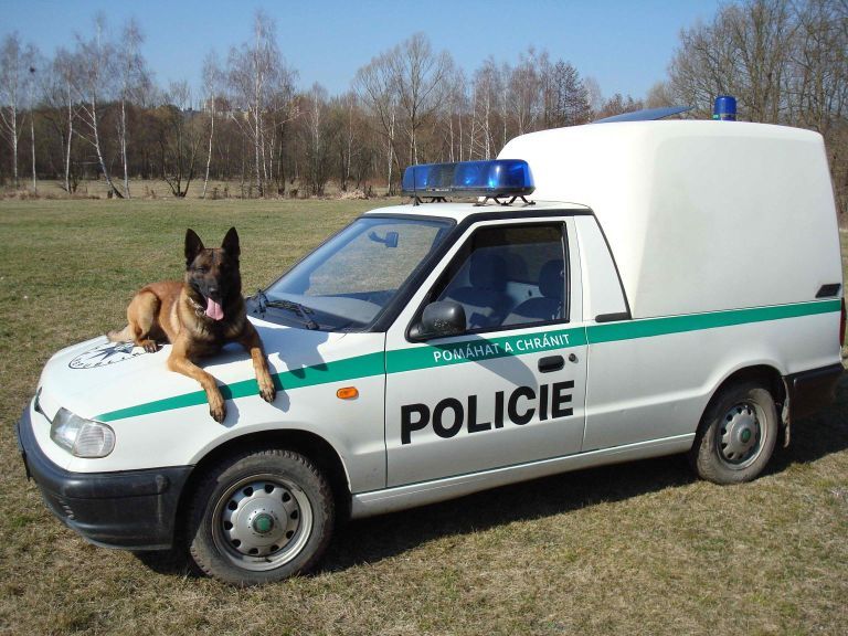 obrázek: Belgický ovčák Uran dostihl pachatele