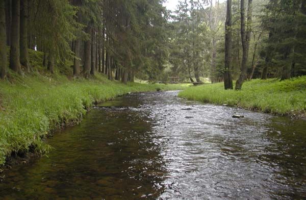 obrázek: Rokycanští ochránci přírody jdou k Berounce