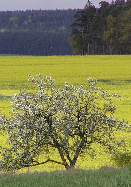obrázek: Beseda se zaměří na rozvoj Plzeňského kraje