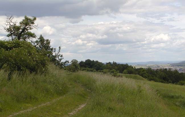 obrázek: U Velkých Hydčic vznikne přírodní rezervace Prácheň